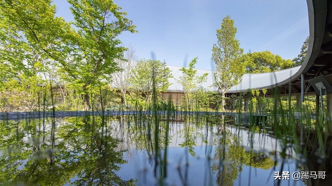 appletv出品的电影,appletv出品