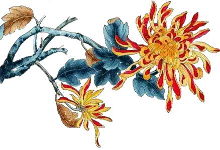 Zvika人际沟通舞动工作坊（TA/DMT）｜长沙站