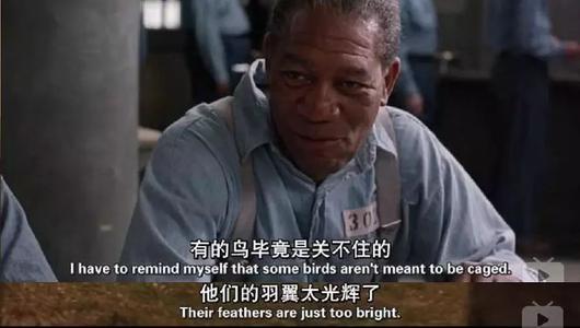 杀死一只知更鸟给人启示,杀死一只知更鸟让人思考