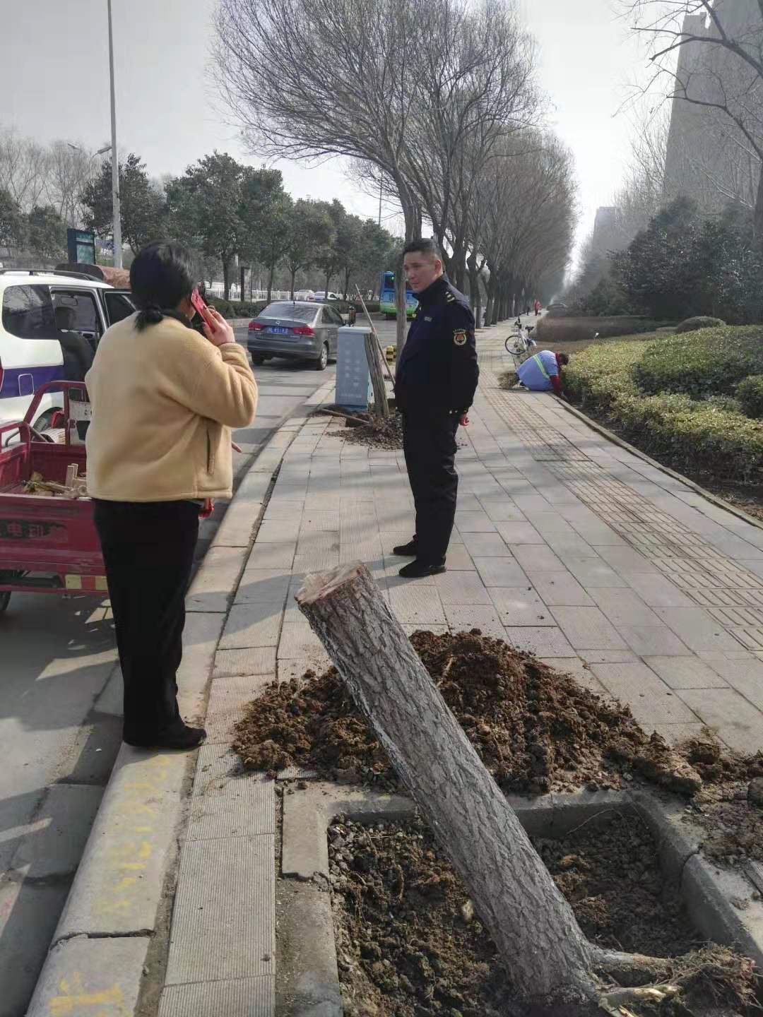 漯河市城市管理局综合执法,漯河市城市管理综合执法大队电话