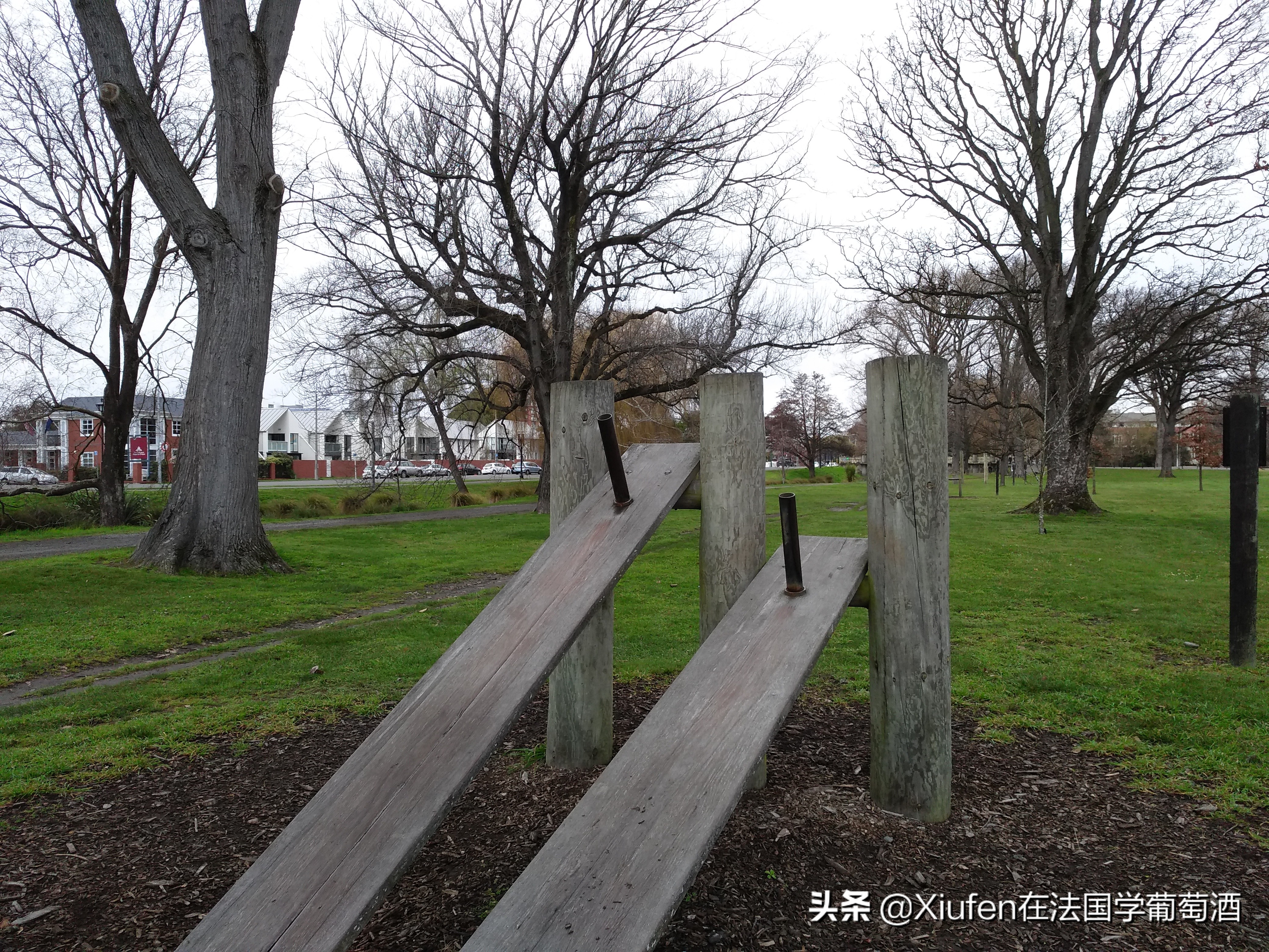 新西兰基督城城市风景,新西兰基督城风景漫步
