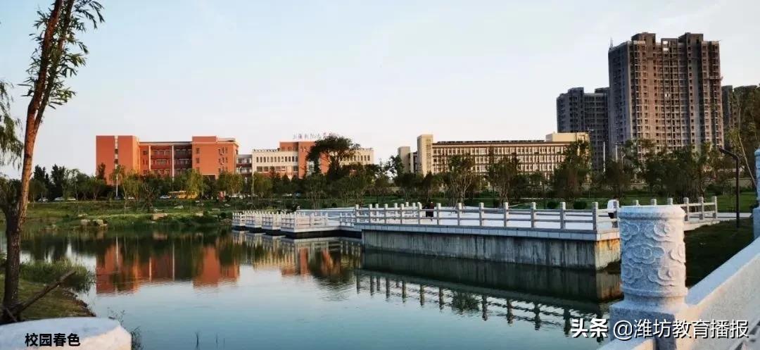 山东潍坊:一所城郊学校的音体美教学“转轨”