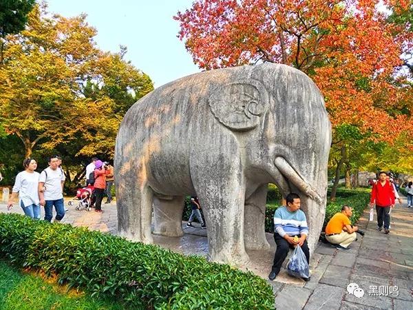 南京相隔百年的照片,南京城景对比图