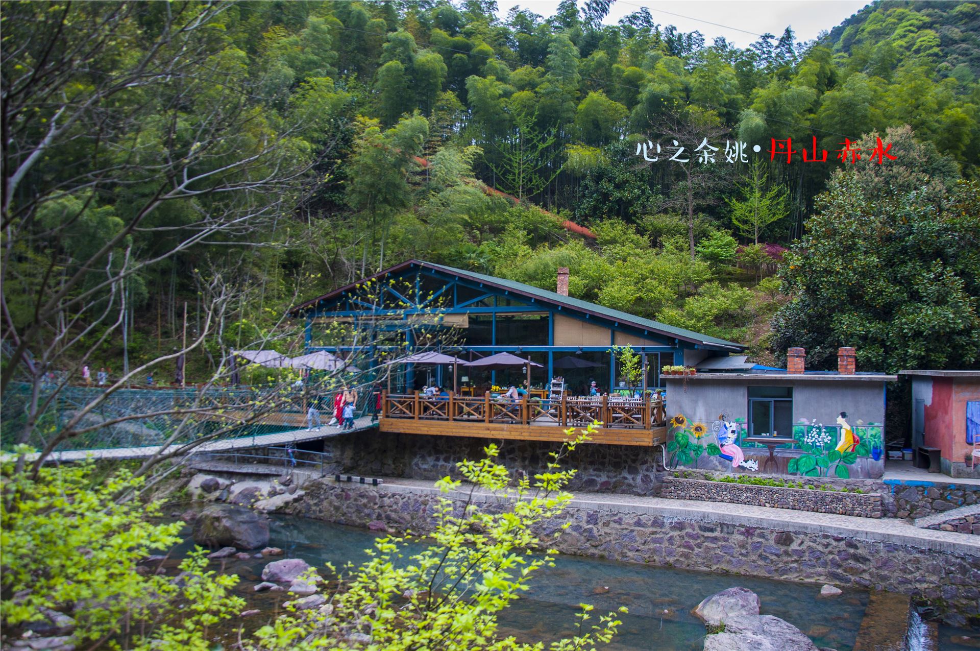 丹山赤水的老柿林景区,丹山赤水柿林古村