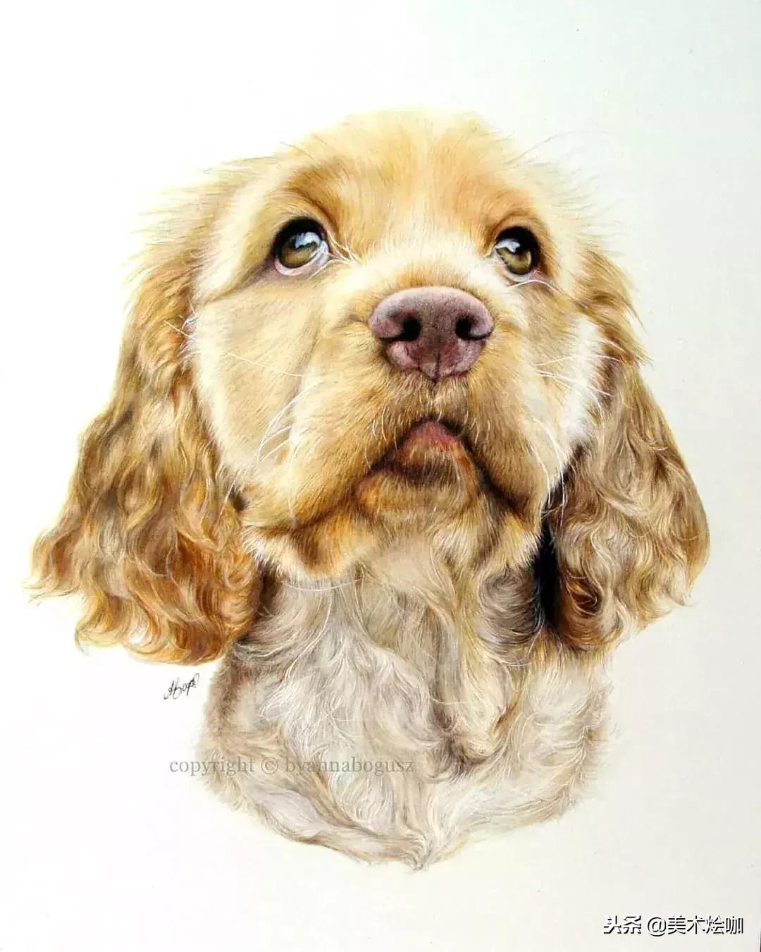 彩铅画教程超写实零基础入门,超写实彩铅画高清大图水果组合