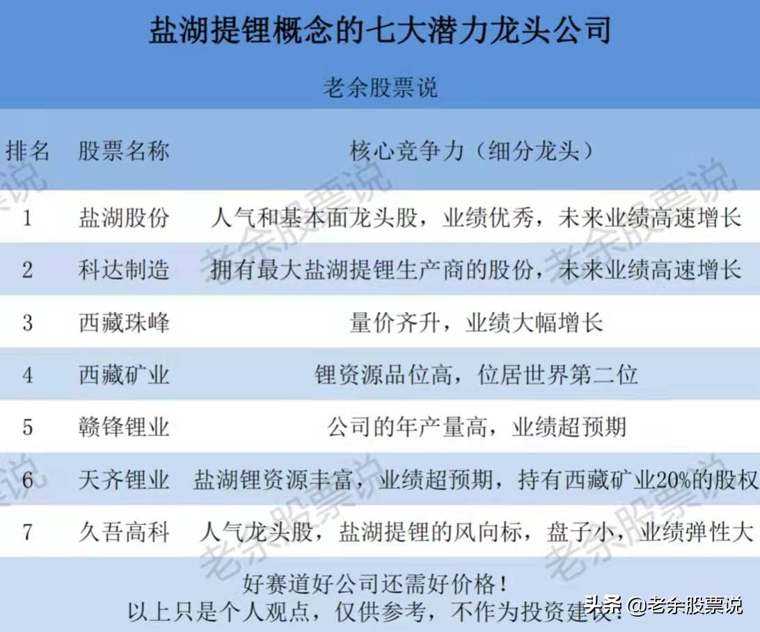 盐湖提锂未来翻倍股,a股有望开启新一轮慢牛行情