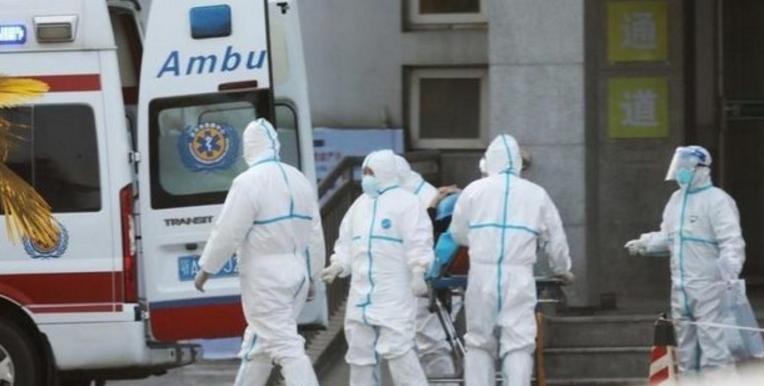 张康阳回应完整视频,张康阳上央视新闻