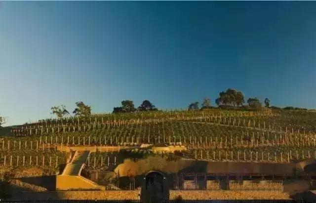 木桐玛歌拉图柏图斯康帝红酒,拉菲拉图玛歌木桐哪个性价比高