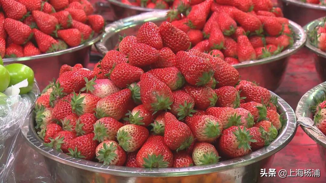 有哪些和草莓类似价格的平价水果,草莓贵族水果盘点