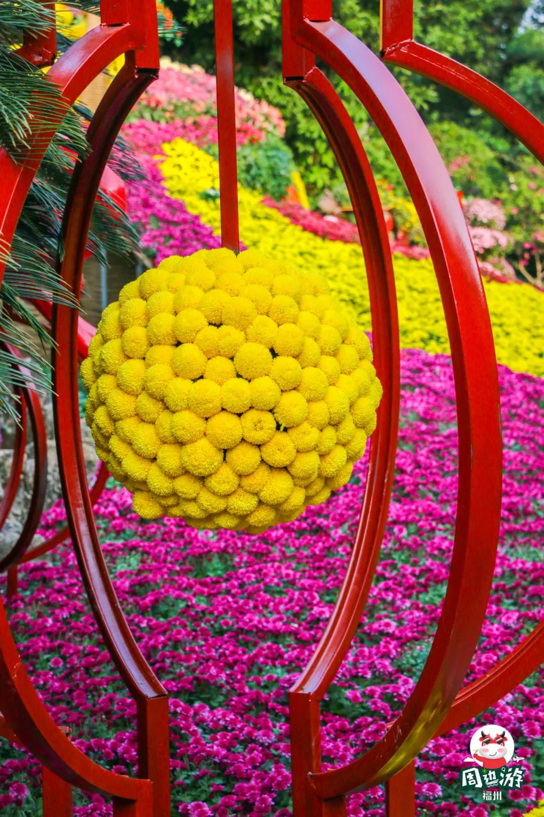 福州菊花展21年还有吗,福州西湖菊花展人山人海