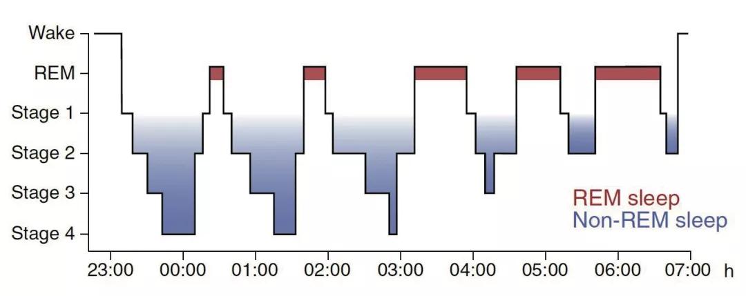 多动的孩子很难10点前睡,多动的孩子怎么安静