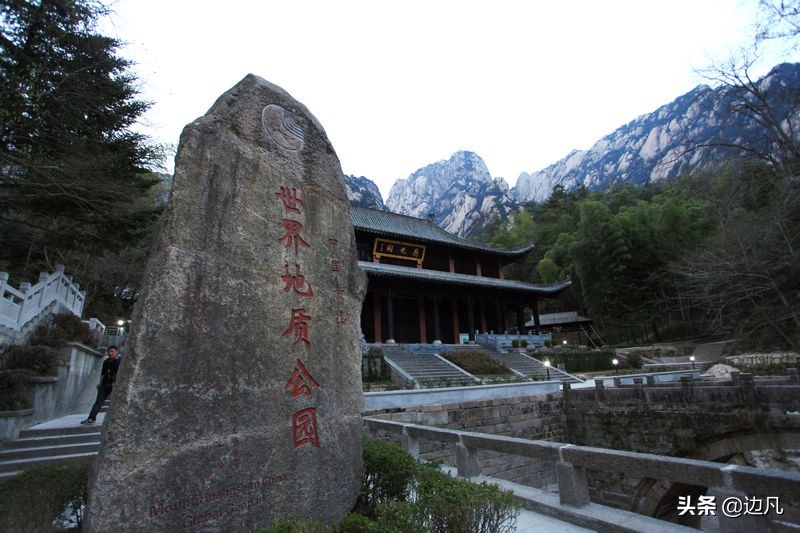 黄山迎客松是真树还是假树,黄山迎客松直播