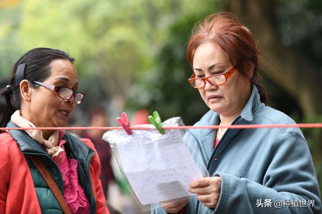 为什么不做媒人做三代好,古语不做媒人