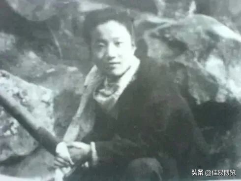 张可风是什么电视剧,张可风的作品