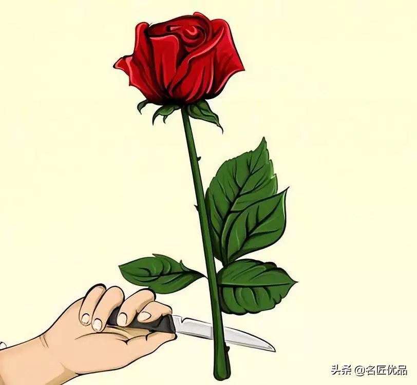 手工玫瑰怎么制作,玫瑰花手工制作白玫瑰