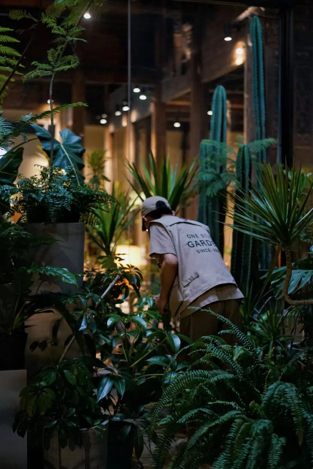 京城首家！探秘最热门“一尺花园”咖啡馆，西山脚*体下**会海派腔调