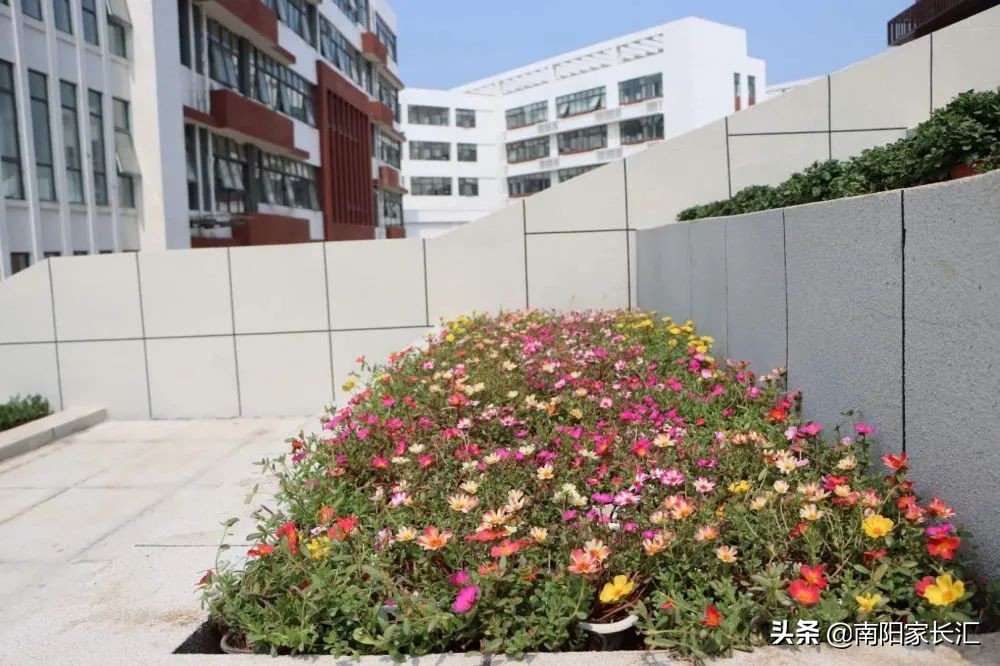 南阳五中搬去第八完全学校么,南阳五中完全学校