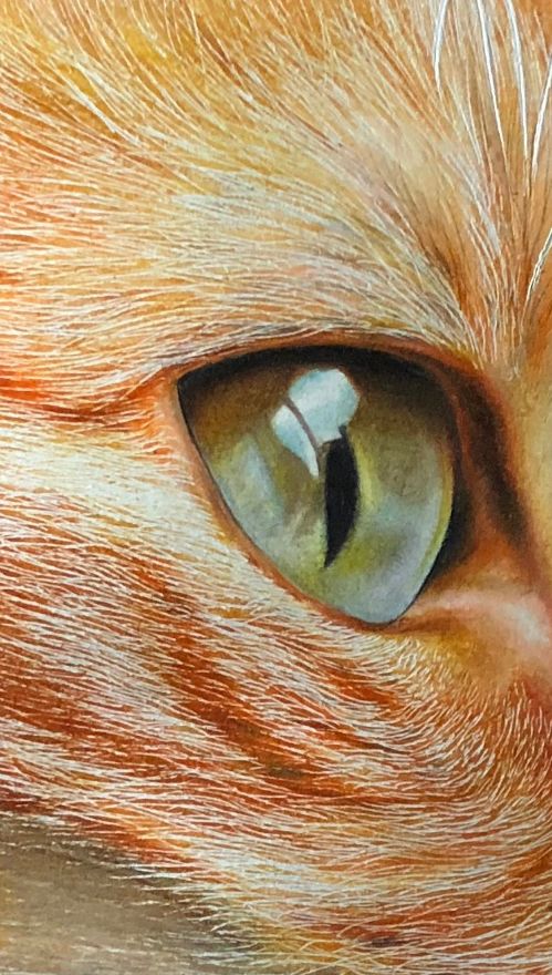 失明女孩铅笔画,保护视力守护心灵素描画