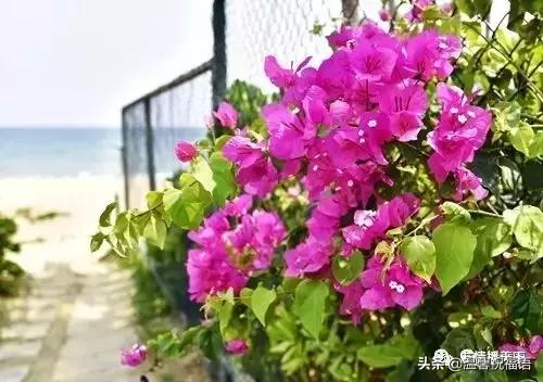 《家庭兴旺歌》《和谐歌》《夫妻歌》太绝了！句句精辟