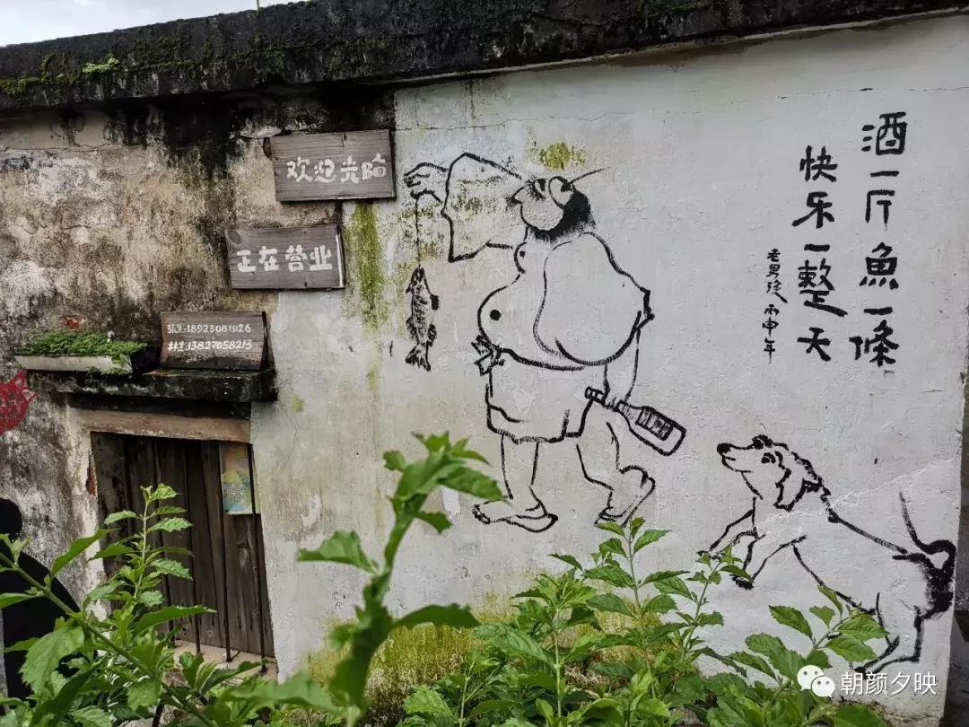 新会石板沙最好的地方,江门石板沙村旅游介绍