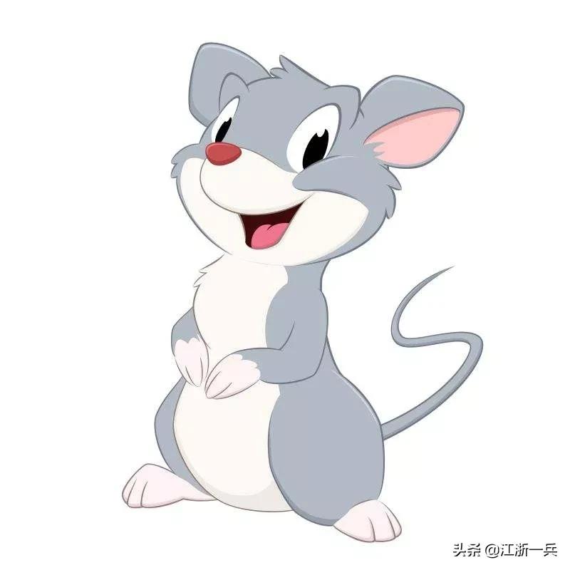 有关鼠年的唯美散文,鼠年说鼠随笔