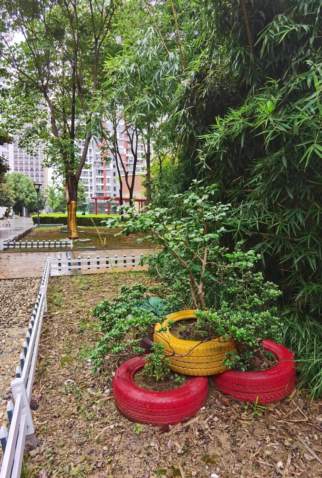 今天,我要好好夸下无锡这个学区房的物业