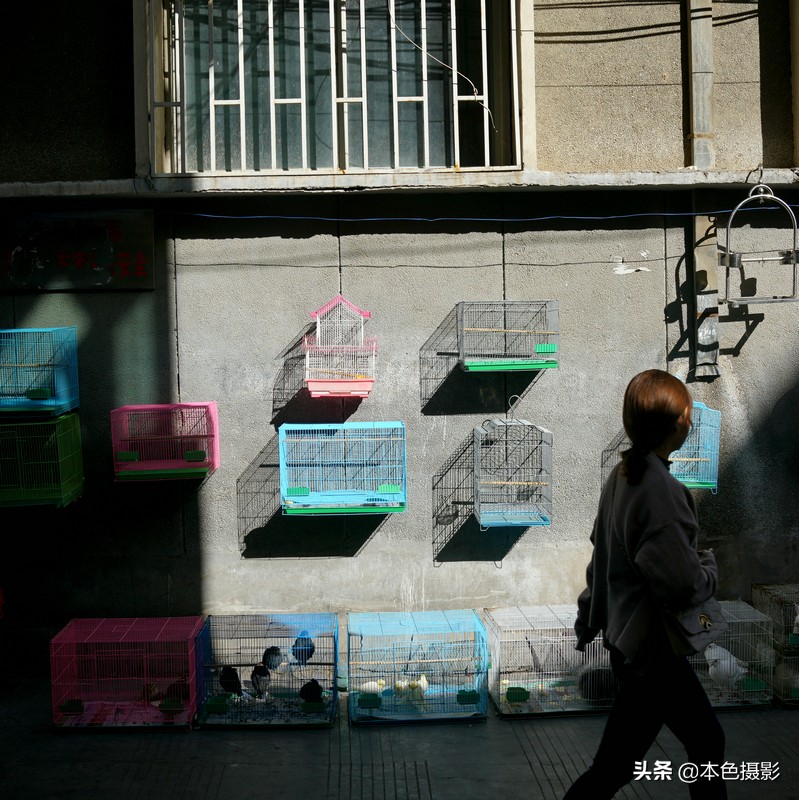 鍩庡競琛楄鎽勫奖,琛楄鎽勫奖娆h祻