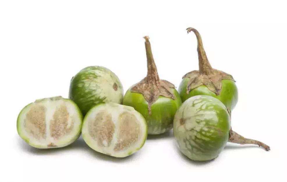 常见蔬菜种子催芽方法,蔬菜种子催芽小技巧