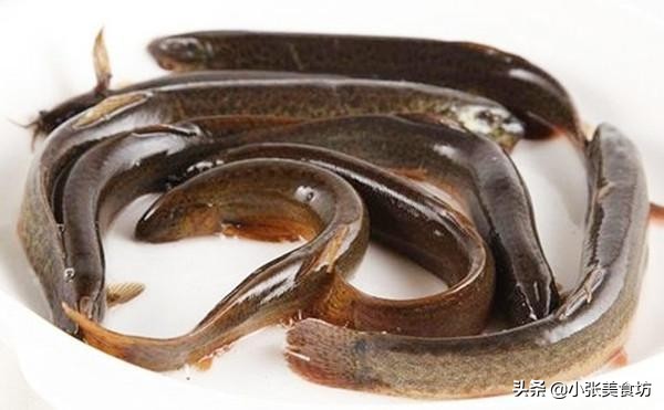 煮泥鳅要去表面粘液吗,泥鳅炖汤为什么要去粘液