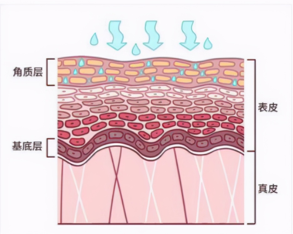 都说美白面膜不能用是真的吗,补水保湿面膜真的有效吗