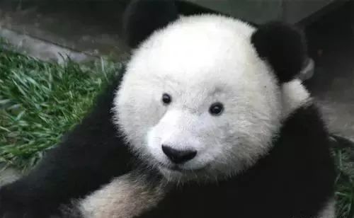 角膜损伤美瞳,为什么美瞳损害角膜