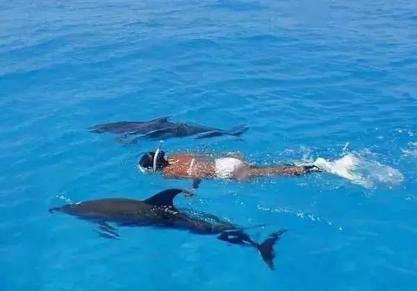 白本护照出境法国旅游免签吗,白本护照旅游去哪个国家比较好