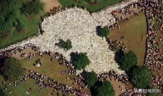 霍金年轻时帅气的照片,霍金年轻时帅照