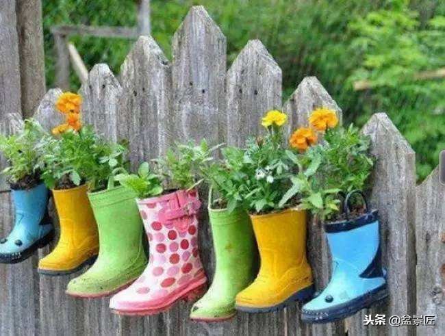 废物改造花盆绿植,旧物改造吊兰花盆