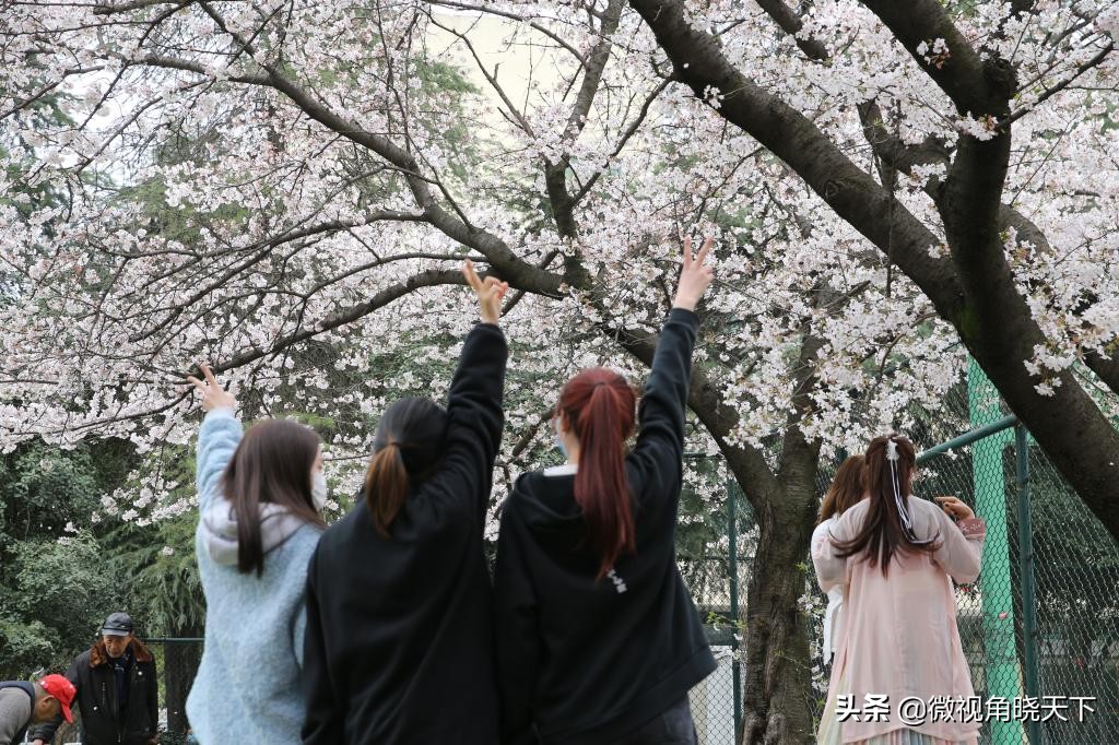 信阳师范学院：回眸但觉烟色浅，不知春意入师院