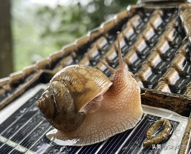 7天3000公里,宝马x57000公里发现烧机油