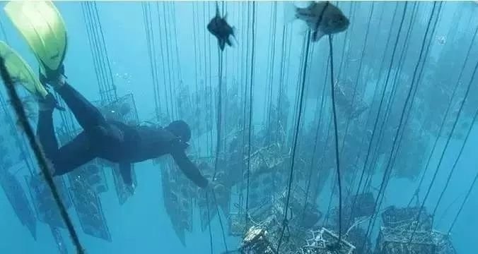 戴上珍珠发夹就是小仙女,当女人戴上眼镜