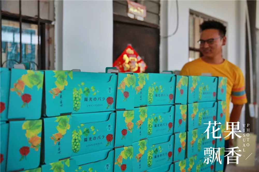 农业到底有多难,农业难果农难吗