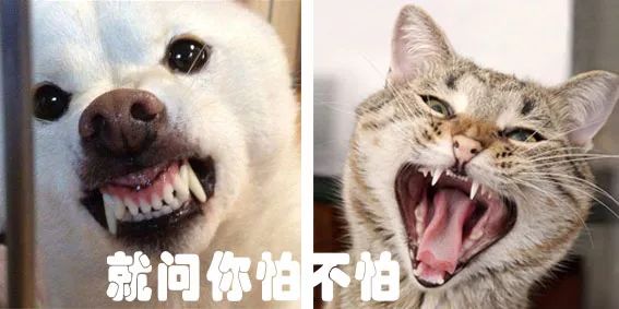 缁欑尗鍜悆绯栧樊鐐硅鍙戠幇,缁欑尗鍜悆楗鍚撳埌