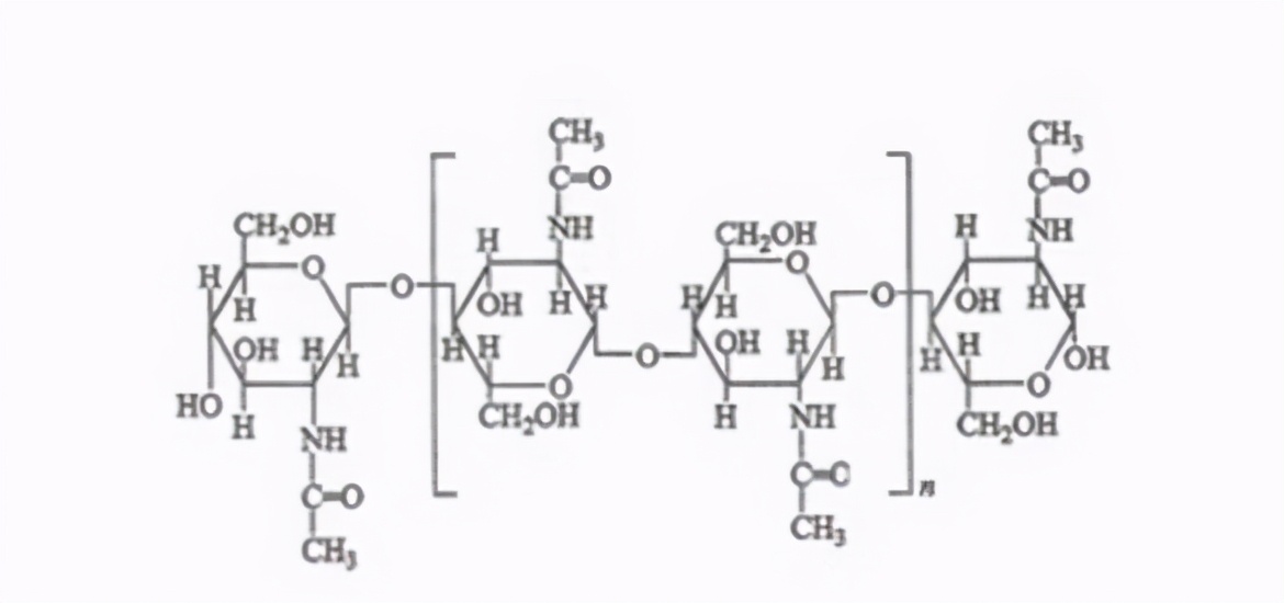 为什么不研究一种药物让苍蝇灭绝,苍蝇消失会对地球有什么后果