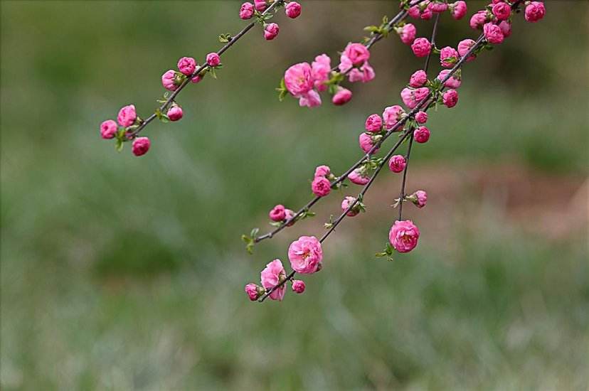 自然之美陶冶人的心灵,用心去感受自然之美