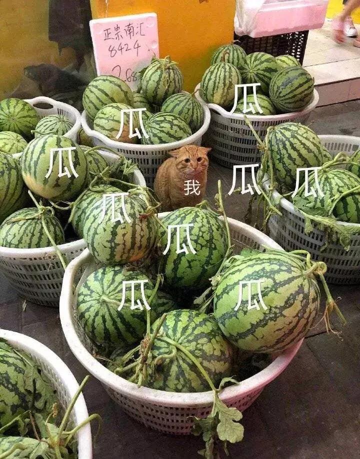 亚洲舞王李胜利,亚洲巨星李胜利