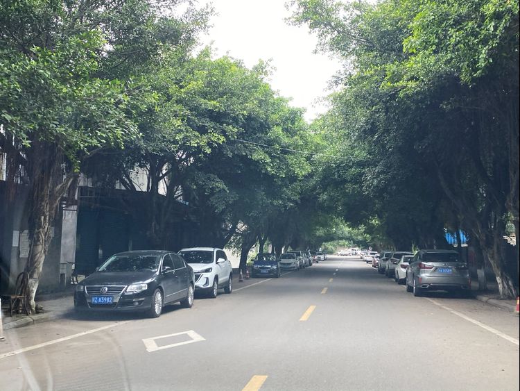 走过58个春夏秋冬,走过55个春夏秋冬