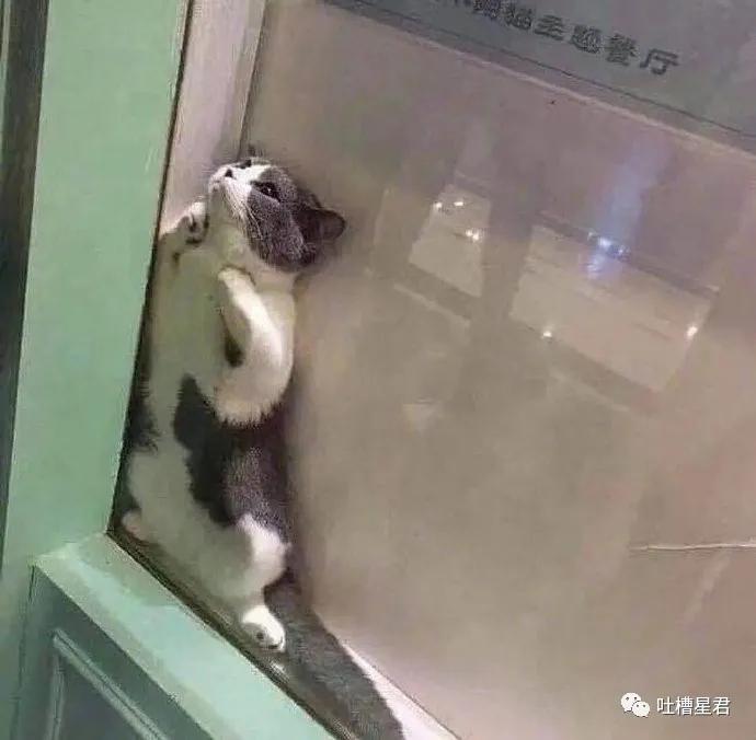 发现男朋友微信小号,发现了男友微信小号