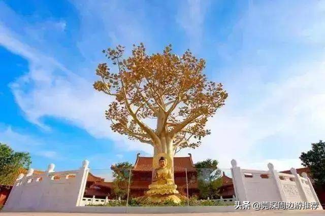 河源巴伐利亚度假公寓,恩平途家斯维登度假公寓