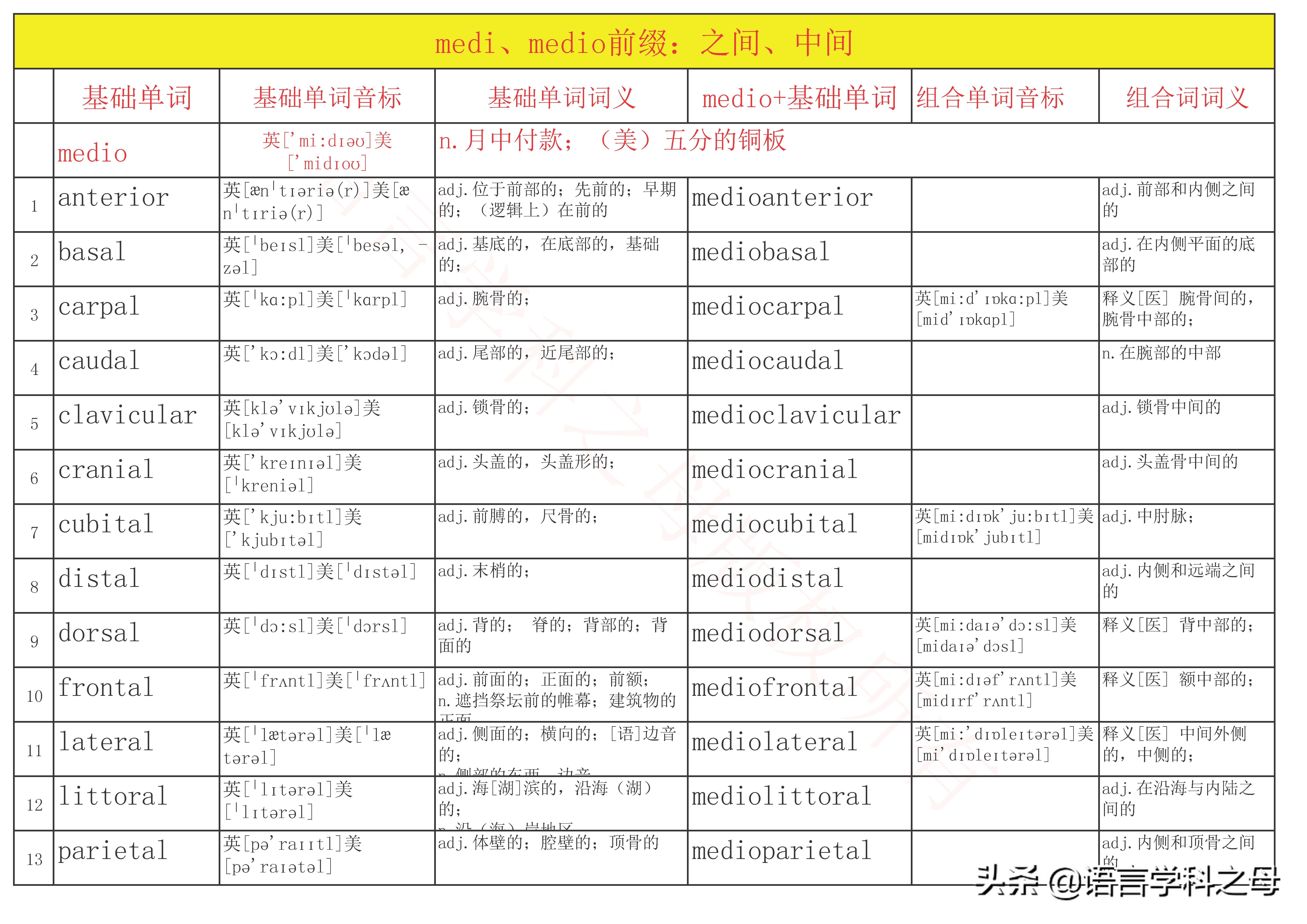 mid作前缀的单词大全,mid前缀的单词