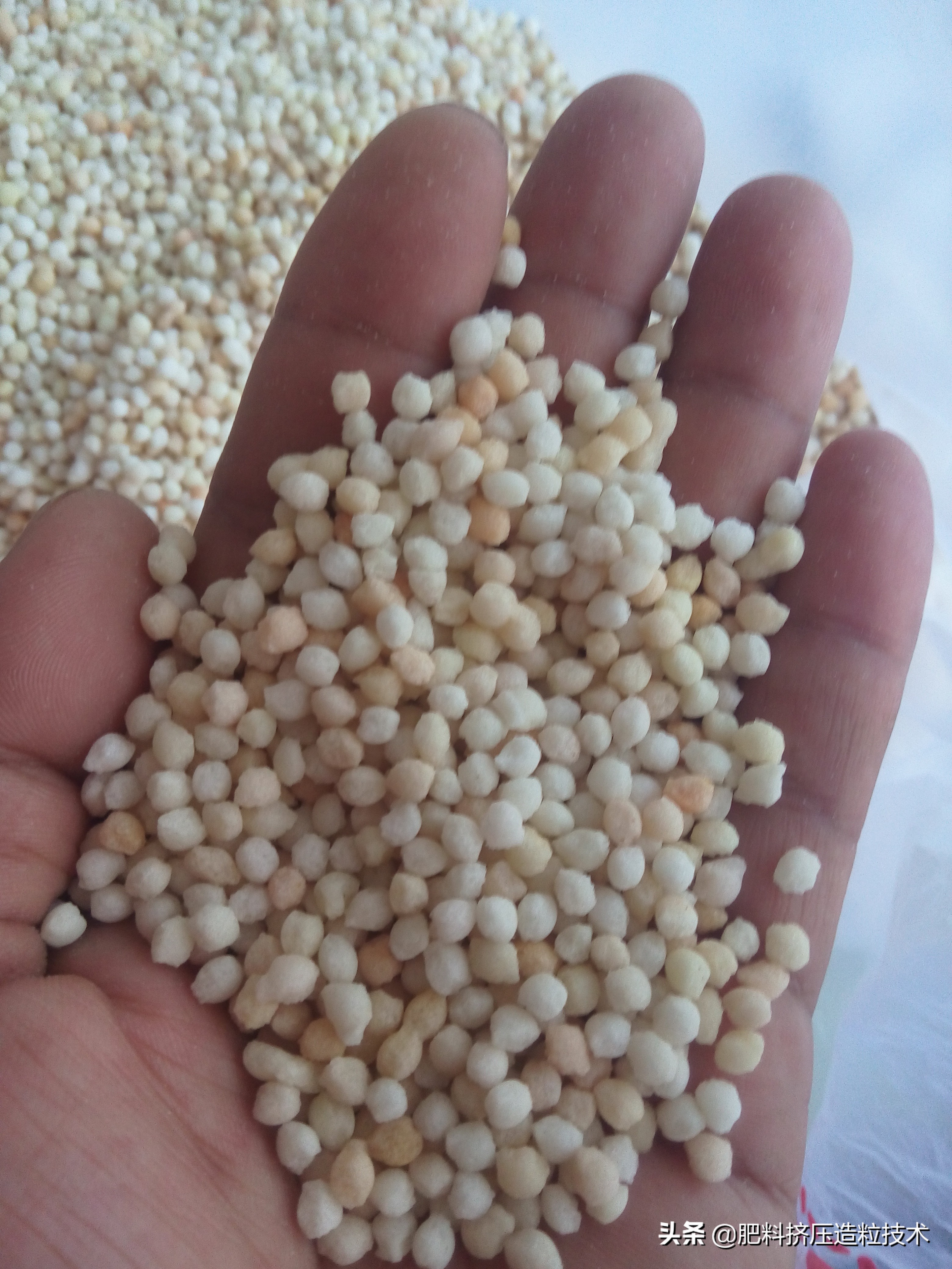 复合肥假性结块和真性结块区别,复合肥结块对肥效有什么影响