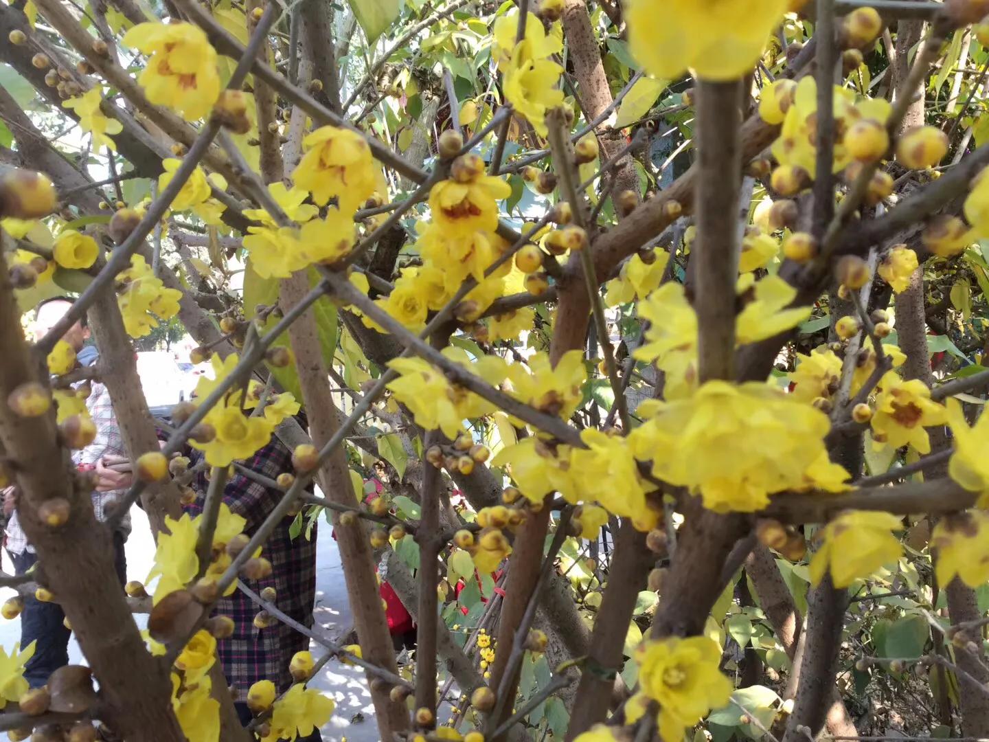 都江堰景区养老套房,都江堰老人养老的弊端