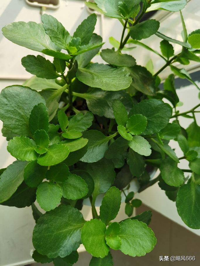 生命教育之殇~青少年自杀的思考