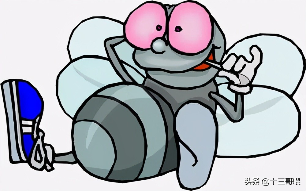 有时候一只苍蝇就能把人搞疯，尤其是这只苍蝇钻进了你的耳朵